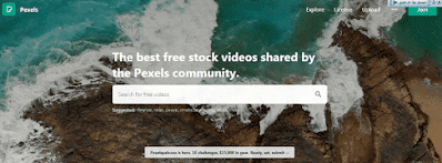 موقع Pexels لتحميل الفيديوهات بدون حقوق